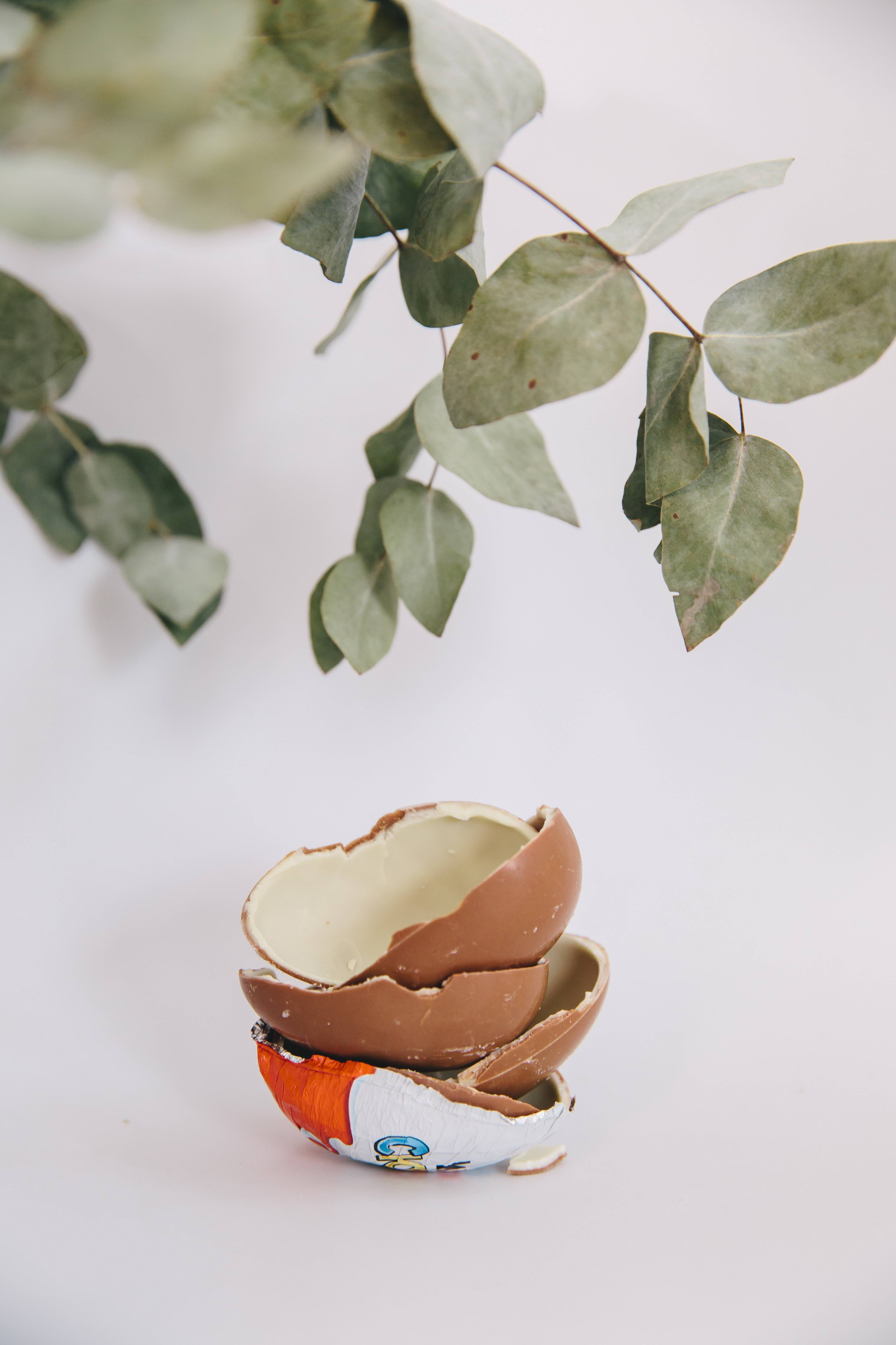 Краткий рассказ о яйце киндер-сюрприз